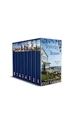 Blueberry Beach: Complete Box Set