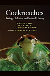 Cockroaches