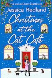 Christmas at the Cat Café