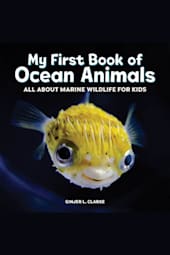 My First Book of Ocean Animals