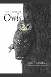 The House of Owls