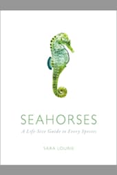 Seahorses: A Life-Size Guide to Every Species