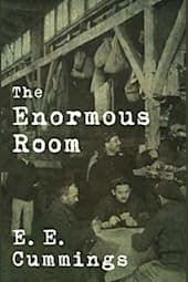 The Enormous Room