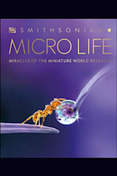 Micro Life
