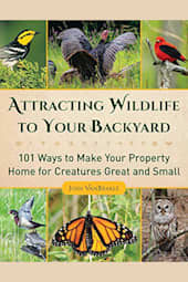 Attracting Wildlife to Your Backyard
