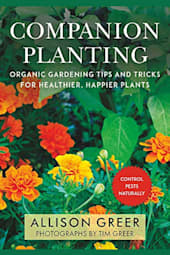 Companion Planting