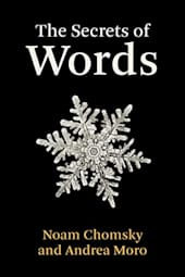 The Secrets of Words