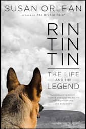 Rin Tin Tin: Enhanced Edition