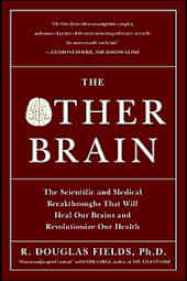 The Other Brain