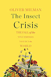 The Insect Crisis