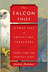 The Falcon Thief
