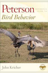 Peterson Reference Guide to Bird Behavior