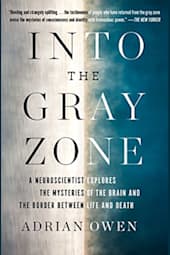 Into the Gray Zone