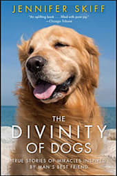 The Divinity of Dogs