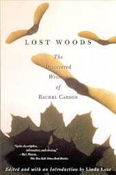 Lost Woods