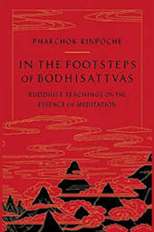 In the Footsteps of Bodhisattvas