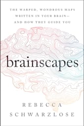 Brainscapes