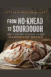 From No-Knead to Sourdough