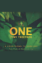 One Tiny Treefrog
