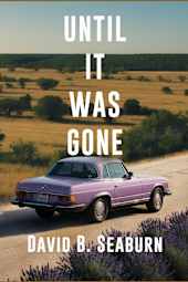 Until It Was Gone