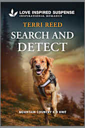 Search and Detect