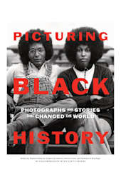 Picturing Black History