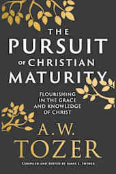 The Pursuit of Christian Maturity