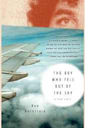 The Boy Who Fell Out of the Sky