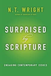 Surprised by Scripture