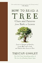 How to Read a Tree