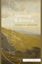 Morning & Evening