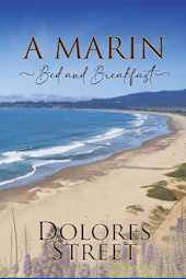 A Marin Bed and Breakfast