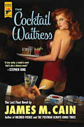 The Cocktail Waitress