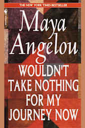 Wouldn't Take Nothing for My Journey Now