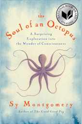 The Soul of an Octopus