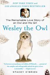 Wesley the Owl