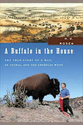 A Buffalo in the House