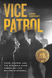Vice Patrol