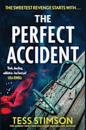 The Perfect Accident