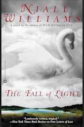 The Fall of Light