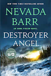 Destroyer Angel