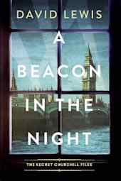 A Beacon in the Night