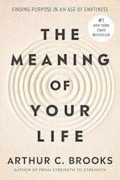 The Meaning of Your Life
