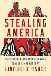 Stealing America