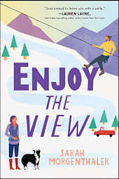 Enjoy the View