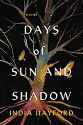 Days of Sun and Shadow