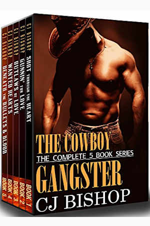 Nora Phoenix Books Bookbub