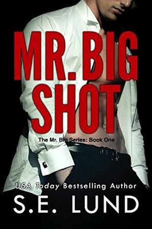 Book cover for Mr. Big Shot by S.E. Lund