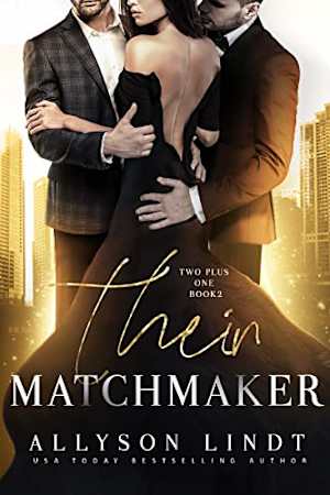 Book cover for Their Matchmaker by Allyson Lindt