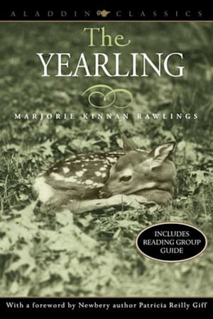 Book cover for The Yearling by Patricia Reilly Giff, Marjorie Kinnan Rawlings